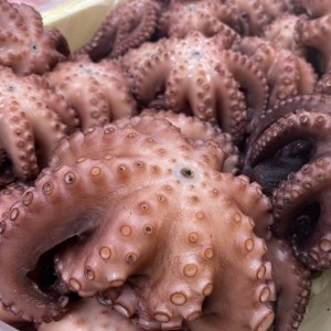南知多産 茹でたこ 約1kg(4杯) [配送不可地域：離島]