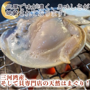 岬だより 希少 天然はまぐり 3種セット 1.5kg [配送不可地域：離島]