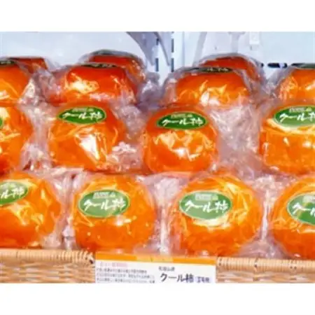 今のこの時期に!?冷蔵富有柿(クール柿)2Lサイズ18個入り_果物・フルーツ 柿（カキ）  かき_【配送不可地域：離島】【1105973】