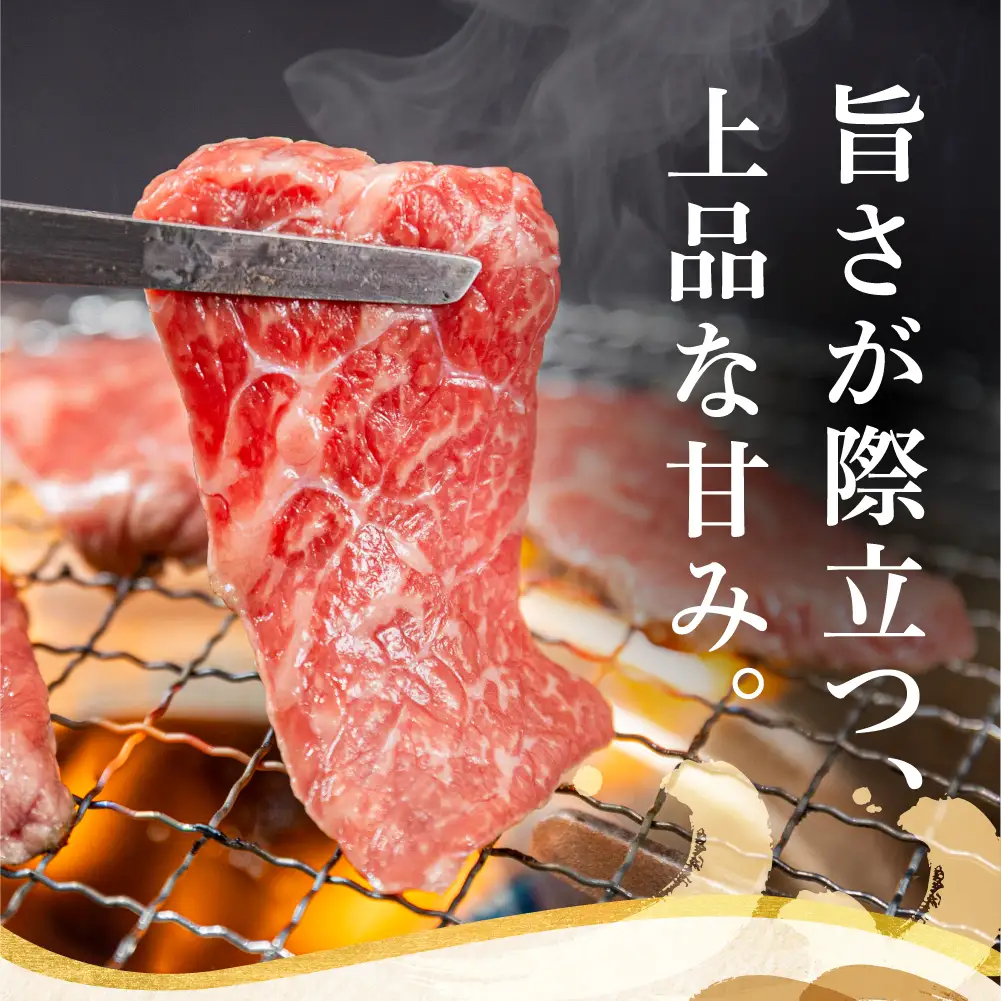 飛騨牛 もも 焼肉用 600ｇ 肉 ブランド牛 黒毛和牛 もも肉    飛騨牛 山武商店 LZ008▲