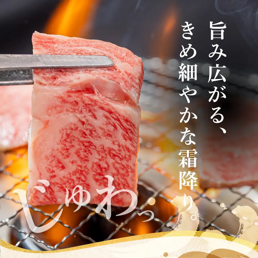 飛騨牛 ロース 焼肉 450ｇ 霜降り ブランド牛  肉 飛騨牛 山武商店 LZ010