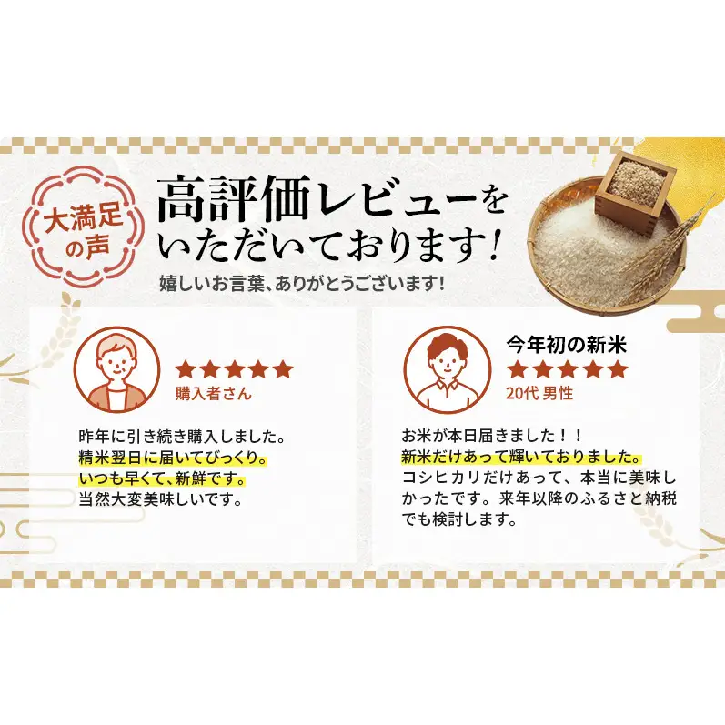 コシヒカリ 新米 10kg 定期便 コシヒカリ