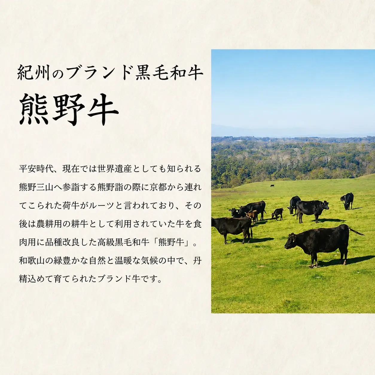 熊野牛 A4以上 霜降り 赤身 こま切れ 500g 【uot747】