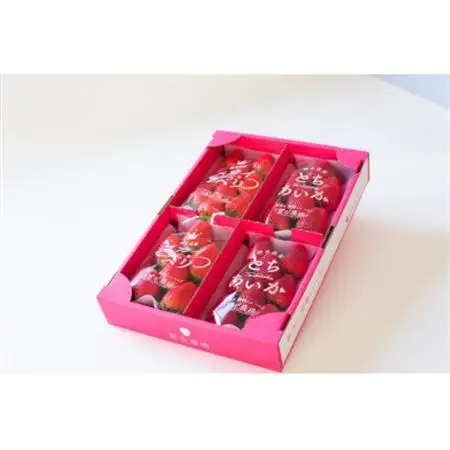 【春イチゴ】 食べ比べ!大粒『スカイベリー』、『とちあいか』300g×2パックずつ_果物・フルーツ いちご  イチゴ 苺_【配送不可地域：離島】【1291781】