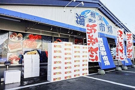 根室海鮮市場[直送]無添加むきたてエゾバフンウニ塩水パック(赤系)60～70g×4P B-28062