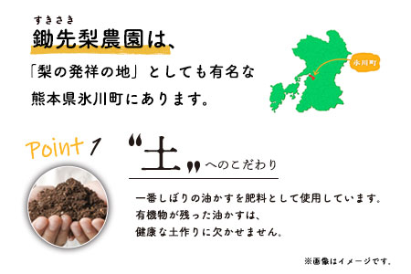 令和8年産 鋤先家 の ひのひかり 6kg (2kg×３袋) 熊本県氷川町産 鋤先梨農園《30日以内に出荷予定(土日祝除く)》 st-p