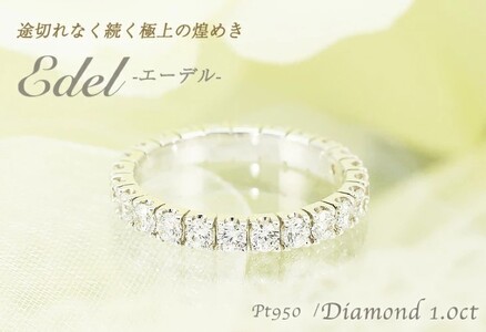 Pt950　1.0ct　エーデル　ダイヤモンド　フルエタニティリング-R0086