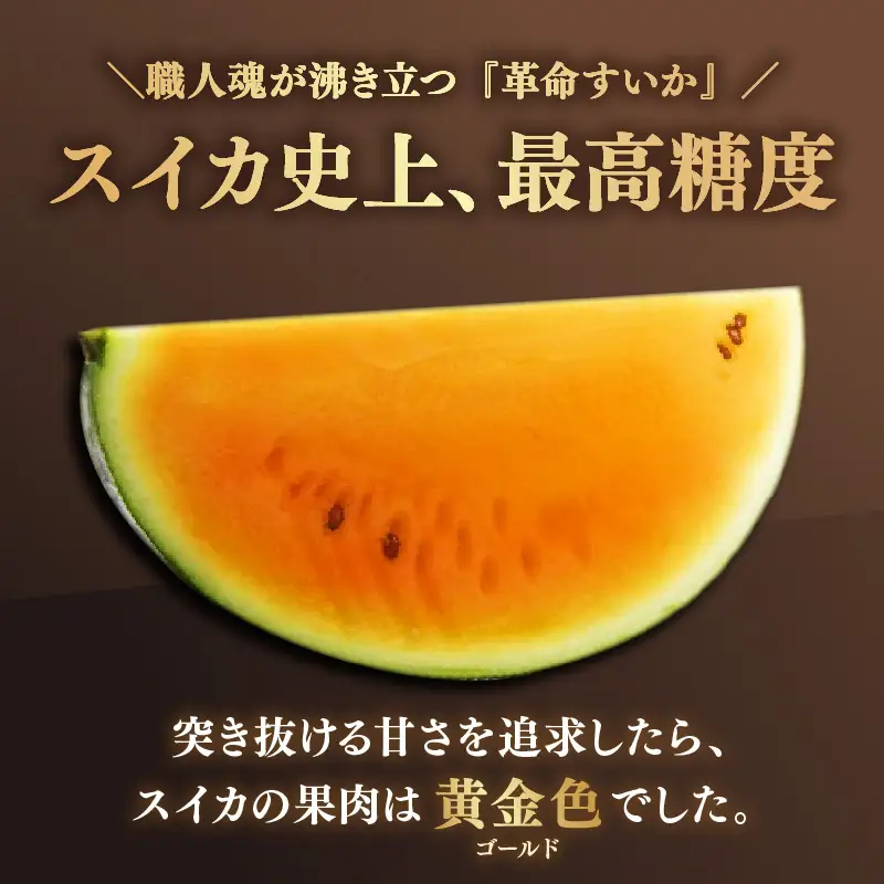 【先行予約】大玉スイカ『金色羅皇』（7kg以上 1玉入） スイカ史上 最高糖度！ ／ あわら 果物 フルーツ 高糖度 すいか 産地直送 ※2027年6月中旬より順次発送 [aw039-a025]