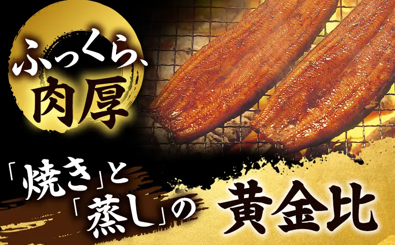 うなぎ 鰻 蒲焼 約100g 2尾 たれ 10ml うなぎ