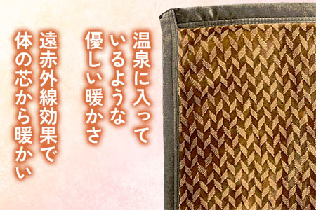 フューチャーニューマイヤー毛布 ダブル ブラウン KW11701 Wプレミアム温泉毛布 温泉に入っているような優しい暖かさ 遠赤外線効果で体の芯から暖かい [1841]