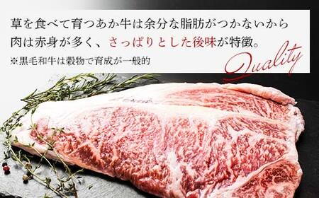 FKK19-226_あか牛サーロインステーキ 熊本県 嘉島町