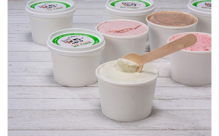 《2026年4月発送》北海道産 手作りアイスクリーム 120ml×12個セット (お好み詰め合わせ)  南幌町 国産 NP1-024