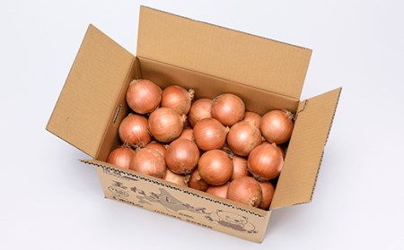 《期間限定》北海道産 なんぽろたまねぎ 20kg  JA 玉ねぎ 南幌町 NP1-272