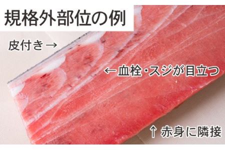 【訳あり】天然本マグロ 中とろ　大満足１kg　CH-65 