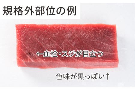 【訳あり】天然本マグロ 赤身　大満足１kg　CH-67 