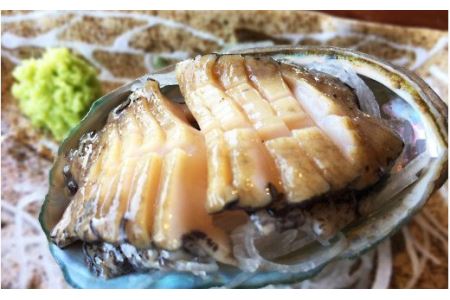  尾鷲産 活アワビ 活サザエ セット 1.5kg 大容量 産地直送 アワビ サザエ 生食 刺身 壷焼き バターソテー バーベキュー 新鮮 海鮮焼 浜焼  海の幸 貝　HA-64