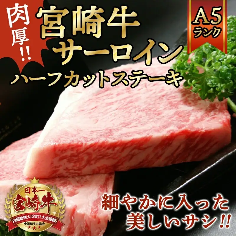 【A5】肉厚!宮崎牛サーロインハーフカットステーキ2枚〔AD-0112〕_(都城市) 最高級A5ランク 宮崎牛サーロインステーキ 200g×2枚 ステーキソース 塩コショウ付 ギフト 贈答用
