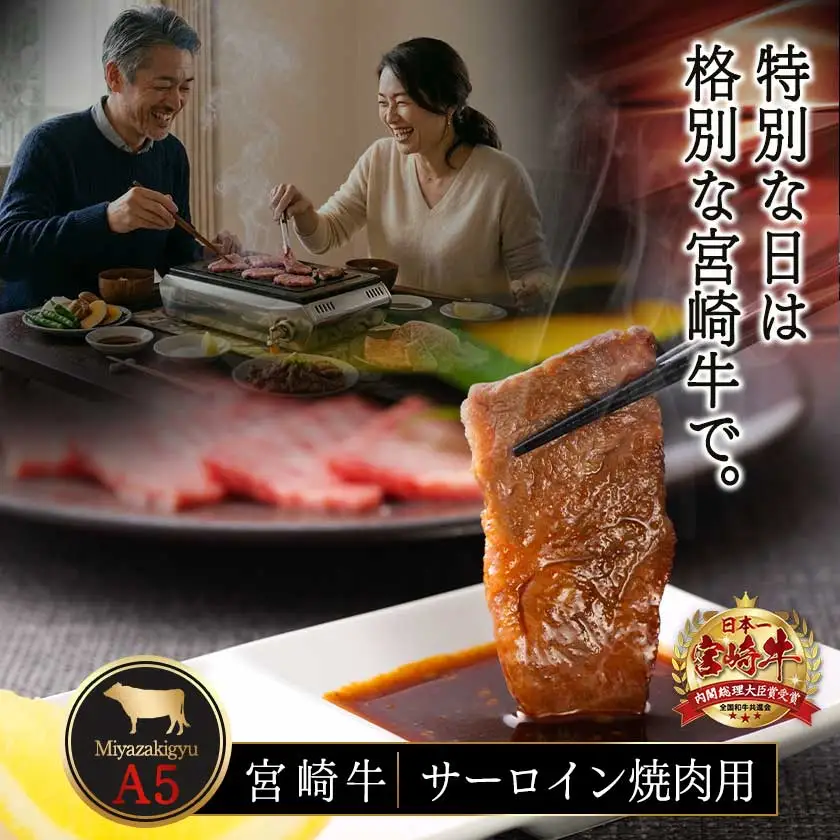 【A5】宮崎牛サーロイン焼肉用500g〔AE-0106〕_(都城市) 最高級A5ランク 宮崎牛サーロイン焼肉用 500g 最高等級5等級 ブランド牛 国産牛肉 国産黒毛和牛 バーベキュー 焼き肉 ガッツリ 夏のイベント