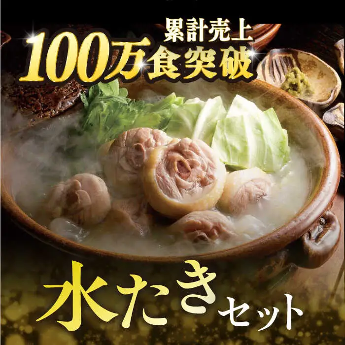 【全12回定期便】博多 華味鳥 水たき &  もつ鍋 セット (各 3-4人前)《糸島》【トリゼンフーズ】 [AIB016]
