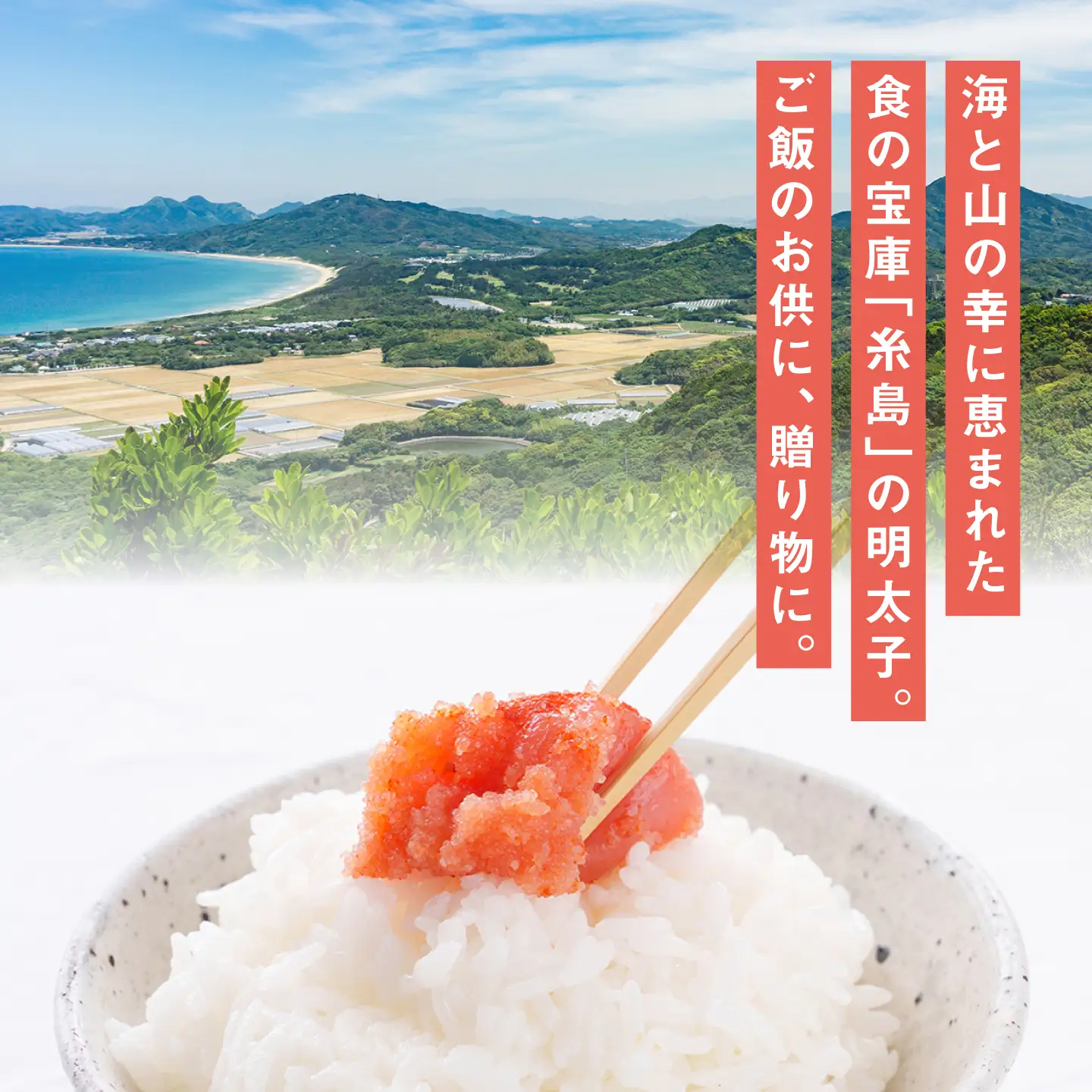 酒と醤油の 辛子明太子（ 特切 450g ） 糸島市 / やますえ [AKA044] 明太子 ご飯のお供 めんたいこ 明太 切れ子 贈答 ギフト ごはんのおとも ピリ辛 博多 福岡