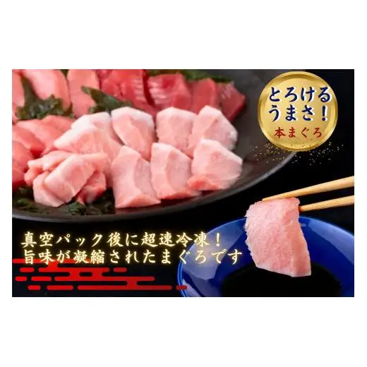【隔月6回定期便】長崎県産 本まぐろ 3種セット  ( 大トロ 中トロ 赤身 ) 総計600g以上【本家永松屋】本マグロ
