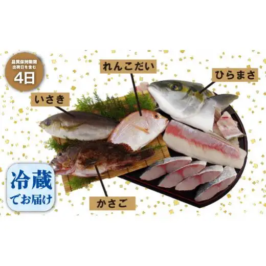 【地魚】 五島列島 旬の地魚 セット 新鮮 産地直送 A198