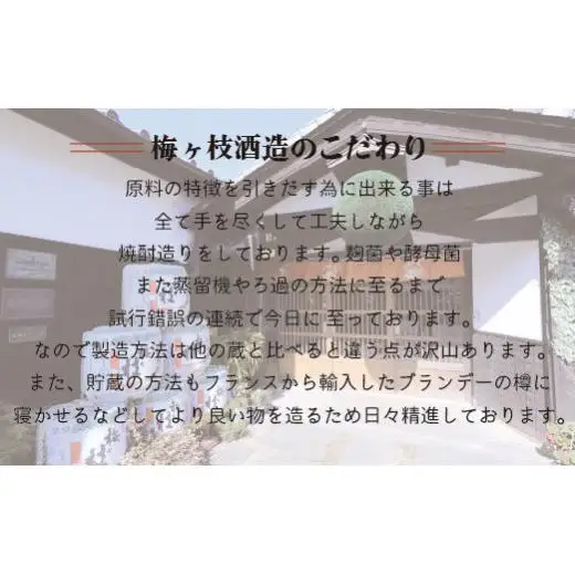 C103b 飲み比べ ながさき 日本酒セット（ 純米吟醸 吟醸酒 純米酒） 各1800ml 梅ヶ枝酒造