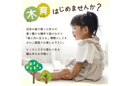 【山梨県産】手作りのスギ・ヒノキ積み木セット（10個入り）
