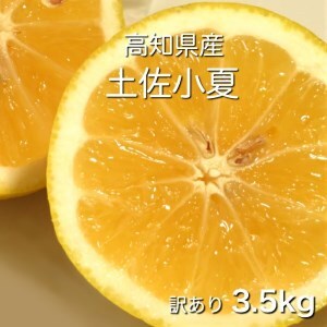 令和9年5月発送予定 訳あり小夏3.5キロ（白浜農園の減農薬小夏） 柑橘 みかん フルーツ 日向夏 果物 ワケあり 傷 訳 家庭用 自宅用 特産【R01152】
