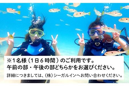 ダイビング  体験  錦浜 《壱岐市》【シーガルイン】[JAB002] 旅行 海 アウトドア ダイビング 33000 33000円