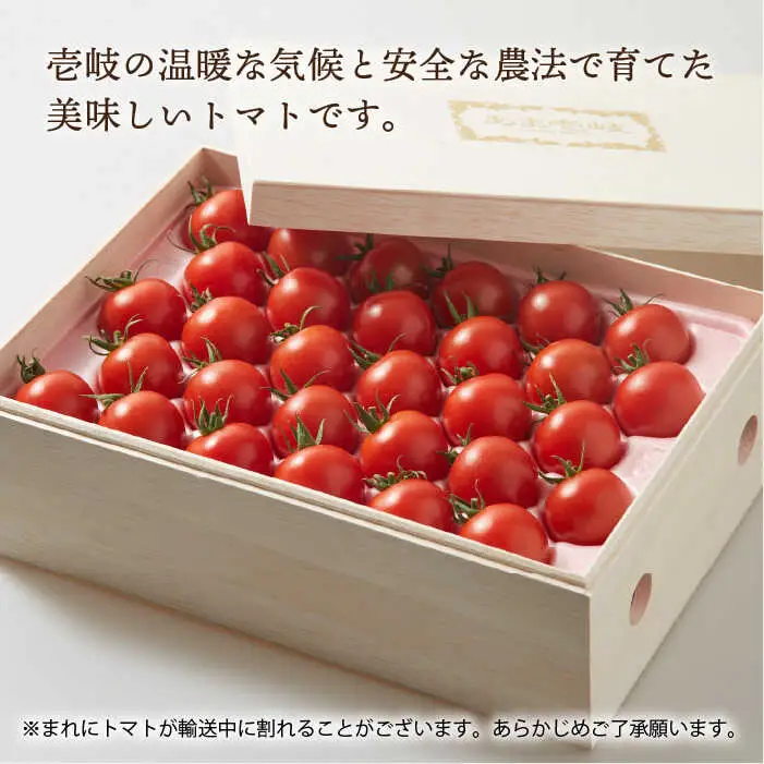 【先行予約】ミディトマト 約2kg 高級贈答用 あま壱岐 [JAE002] トマト
