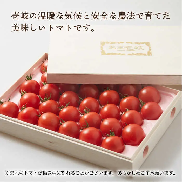 【先行予約】ミディトマト 約1kg 高級贈答用 あま壱岐 [JAE003] トマト