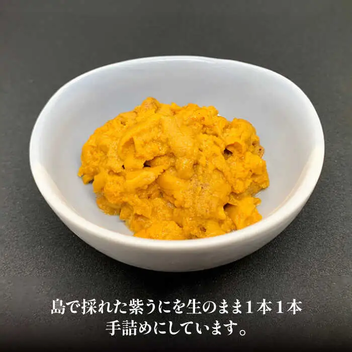 【ふるなびWEEK対象】生うに 60g×2本 JAK001 冷凍ウニ