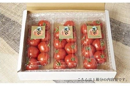 壱岐あかね 完熟トマト 5〜10個×3パック 計1.2kg《壱岐市》【フレッシュメイト壱岐】[JAZ001] トマト とまと ミディトマト 野菜 ギフト 贈答 プレゼント 9000 9000円 九州