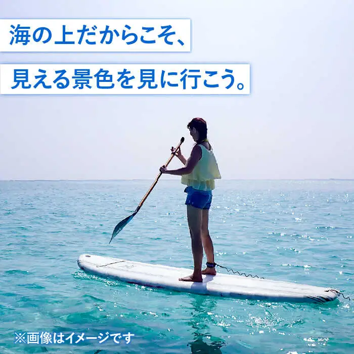 SUP体験 《壱岐市》【壱岐イルカパーク＆リゾート】[JBF008] 22000 22000円