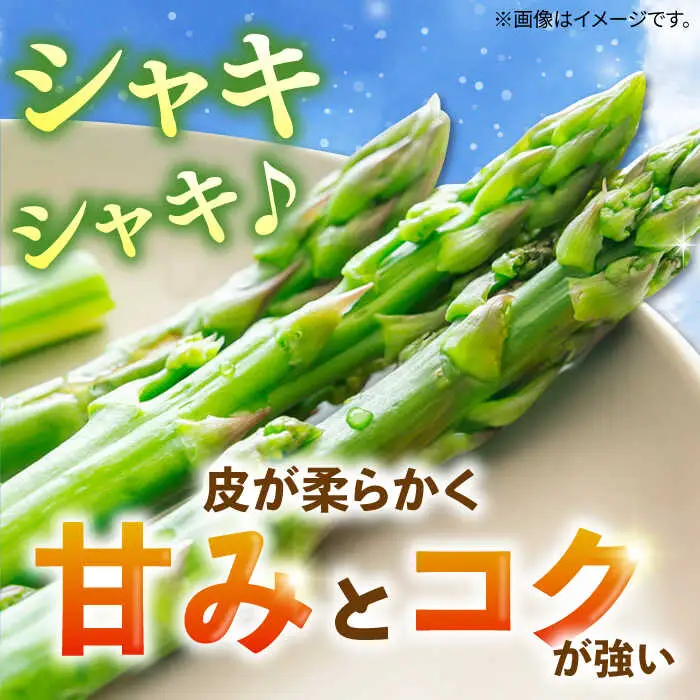 アスパラガス 1kg アスパラ 野菜 JBO004