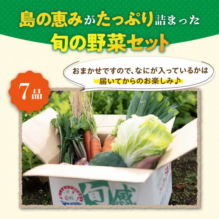 【全6回定期便】旬の野菜セット 7品 [JBO045] 野菜 やさい 旬 セット 詰め合わせ 60000 60000円