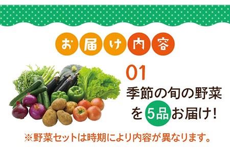 【全12回定期便】壱岐産米つや姫5kg・旬の野菜5品《壱岐市》【壱岐市農業協同組合】 [JBO049] 野菜 食材 夏野菜 セット 野菜セット スムージー 米 お米 つや姫 ご飯 旬 鮮度 新鮮 定期便 冷蔵配送 九州