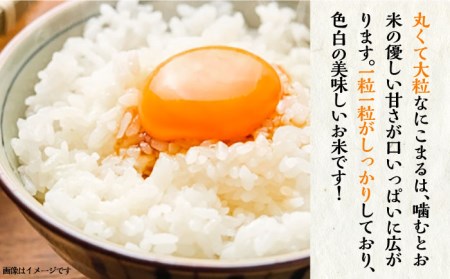 【全3回定期便】壱岐産米 にこまる 5kg 《壱岐市》【壱岐市農業協同組合】 [JBO053]