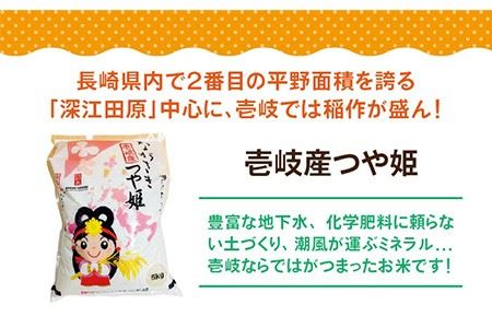 【全12回定期便】壱岐産 つや姫 5kg [JBO058] 米 お米