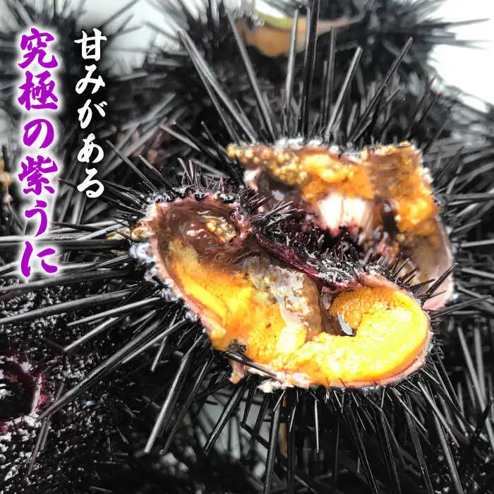 【先行予約】壱岐産紫うに（かきおとし）【2027年5月中旬以降順次発送】《壱岐市》【壱岐島 玄海屋】[JBS026] ウニ 紫ウニ 33000 33000円