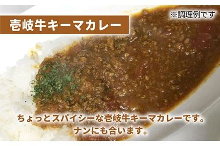 壱岐牛 煮込みハンバーグ キーマカレー セット 200g 5個《壱岐市》【壱岐味噌工房】[JBW005] 36000 36000円 加工品