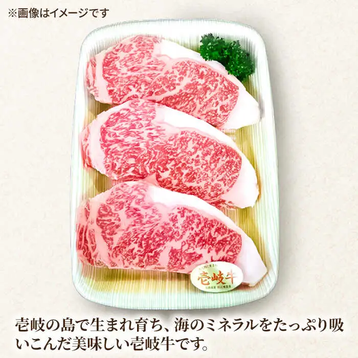 壱岐牛 サーロインステーキ 200g × 3枚《壱岐市》【ヤマグチ】[JCG006] 35000 35000円