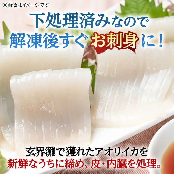 アオリイカ（処理済み） 700g前後 《壱岐市》[JCG018]