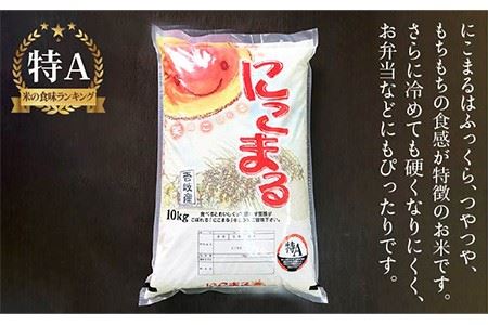 【全3回定期便】ふっくらもちもち米！にこまる 10kg [JCG051] 米 定期便 ご飯 白米 壱岐産 もちもち 54000 54000円 九州