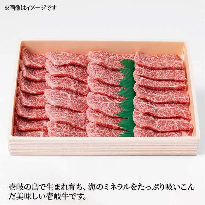 【全3回 定期便 】お肉 壱岐牛 焼き肉セット 500g 《 壱岐市 》 【ヤマグチ】[JCG054] 60000 60000円