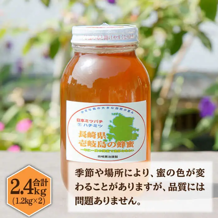  ニホンミツバチ 生蜂蜜 1,200×2（化粧箱付き） [JCL008]  ハチミツ 蜂蜜