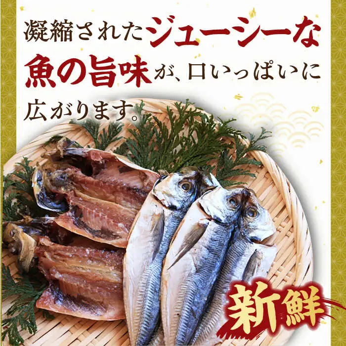 干物 海産物 セット [JCT001] 干物セット