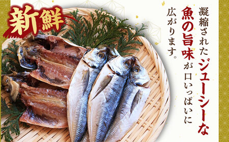 壱岐島 干物・海産物セット【椿】 [JCT003] 22000 22000円 2万円 干物 ひもの 朝食 みりん干し アジ 鯵 アジの開き 開き 丸干し うに 冷凍配送 九州