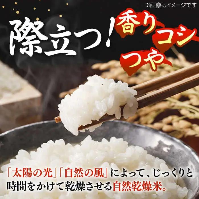 【全3回定期便】【R7年度産】天日自然乾燥米こしひかり 5kg [JCZ004] コシヒカリ